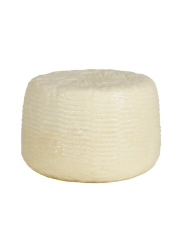 FORMAGGIO PRIMO SALE BIANCO (37)