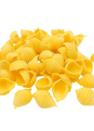 CONCHIGLIE RIGATE KG 1 PRIMELUCI/POIATTI NÂ°36/NÂ°36