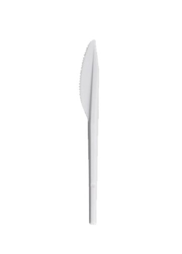 POSATA COLTELLO TRASPARENTE PZ 100 HOUSE