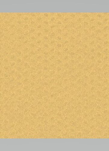 COPRIMACCHIA 100X100 TNT CHAMPAGNE 8X25 (A01331)