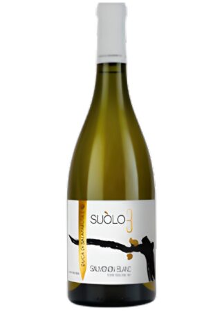 VINO B. SAUVIGNON BLANC SUOLO CL 75 SALAPARUTA