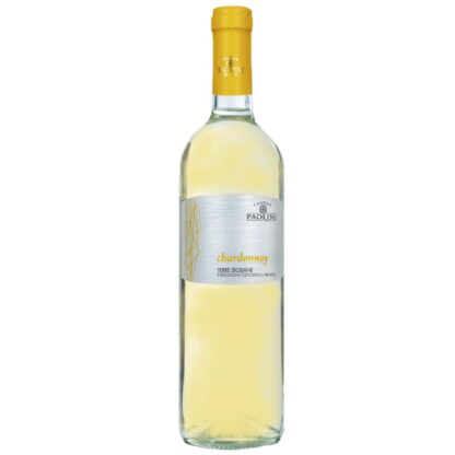 VINO B. CHARDONNAY ZIZZA CL 75 PAOLINI