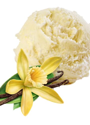 GELATO ARTIGIANALA ALLA VANIGLIA KG 3.5 CARAPINA
