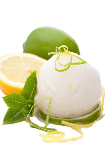 GELATO ARTIGIANALE SORBETTO A LIMONE KG 3.5 CARAPINA