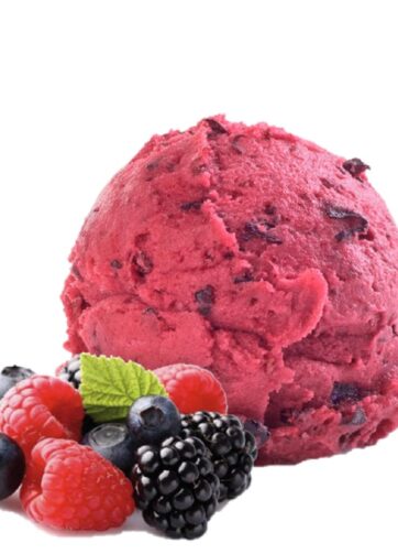 GELATO ARTIGIANALE SORBETTO AI FRUTTI DI BOSCO KG 3.5 CARAPINA