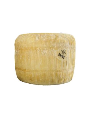 PECORINO SEMI STAGIONATO LISCIO