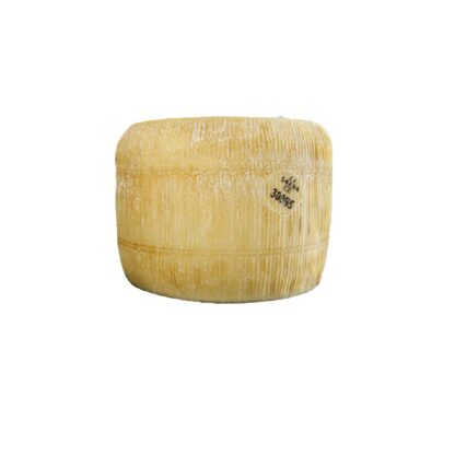 PECORINO SEMI STAGIONATO LISCIO
