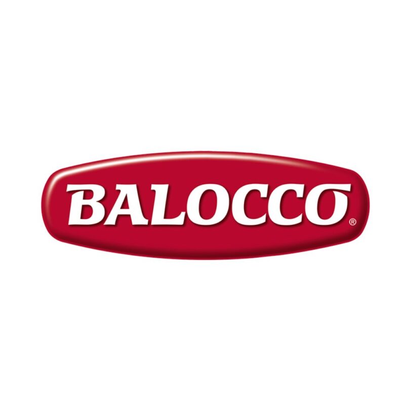 PANETTONE BALOCCO 1KG