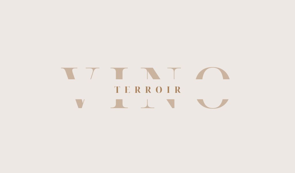 Grafica minimal con la scritta 'Il concetto di terroir: clima, suolo e mano dell’uomo' in caratteri eleganti su sfondo chiaro.