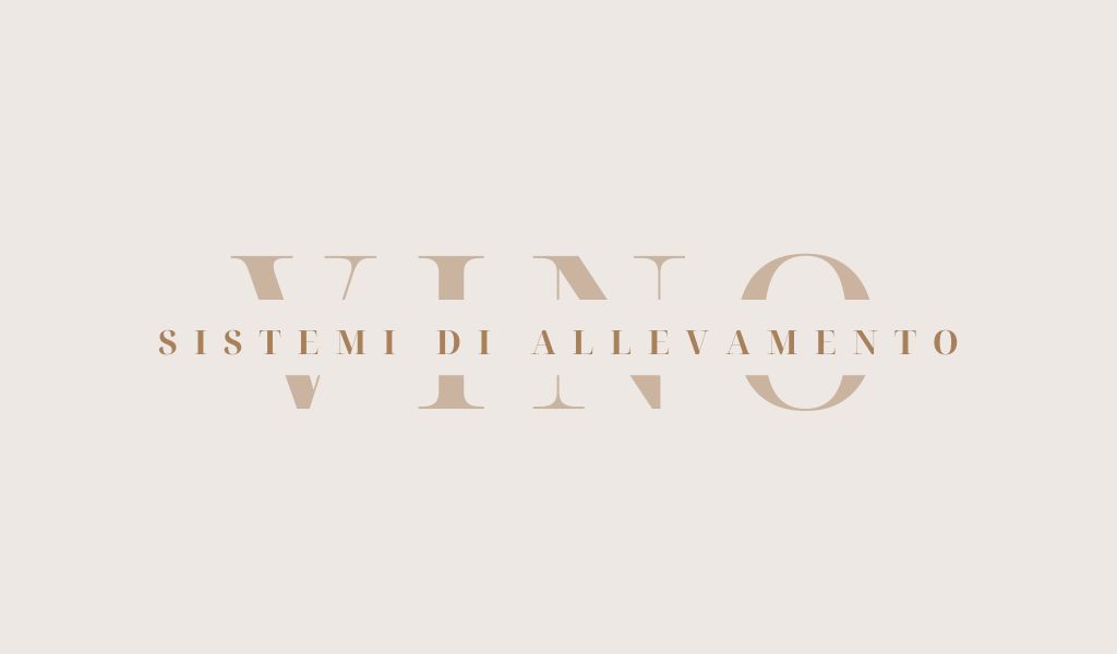 Grafica minimal con la scritta 'Sistemi di allevamento della vite' in caratteri eleganti su sfondo chiaro.