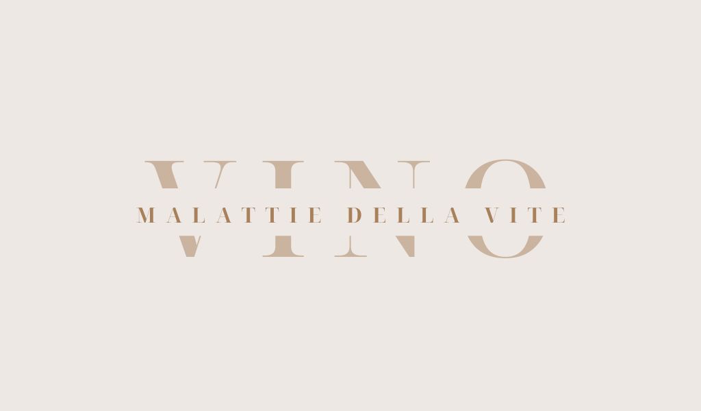 Grafica minimal con la scritta 'Le malattie della vite e come vengono contrastate' in caratteri eleganti su sfondo chiaro