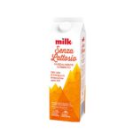 LATTE SENZA LATTOSIO LT 1 MILK