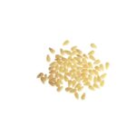 SEMI DI POMO KG 1 PRIMELUCI/POIATTI N 16/N 19