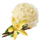 GELATO ARTIGIANALA ALLA VANIGLIA KG 3.5 CARAPINA