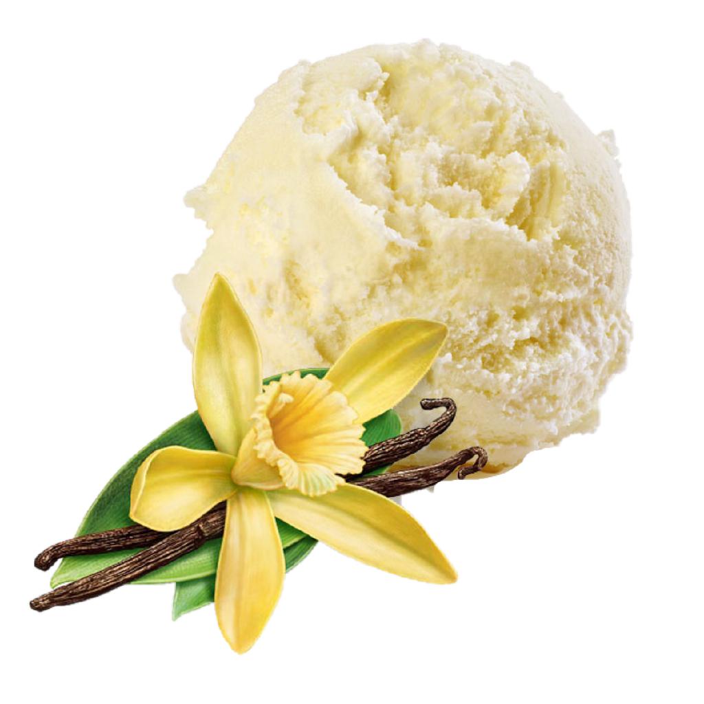 GELATO ARTIGIANALA ALLA VANIGLIA KG 3.5 CARAPINA