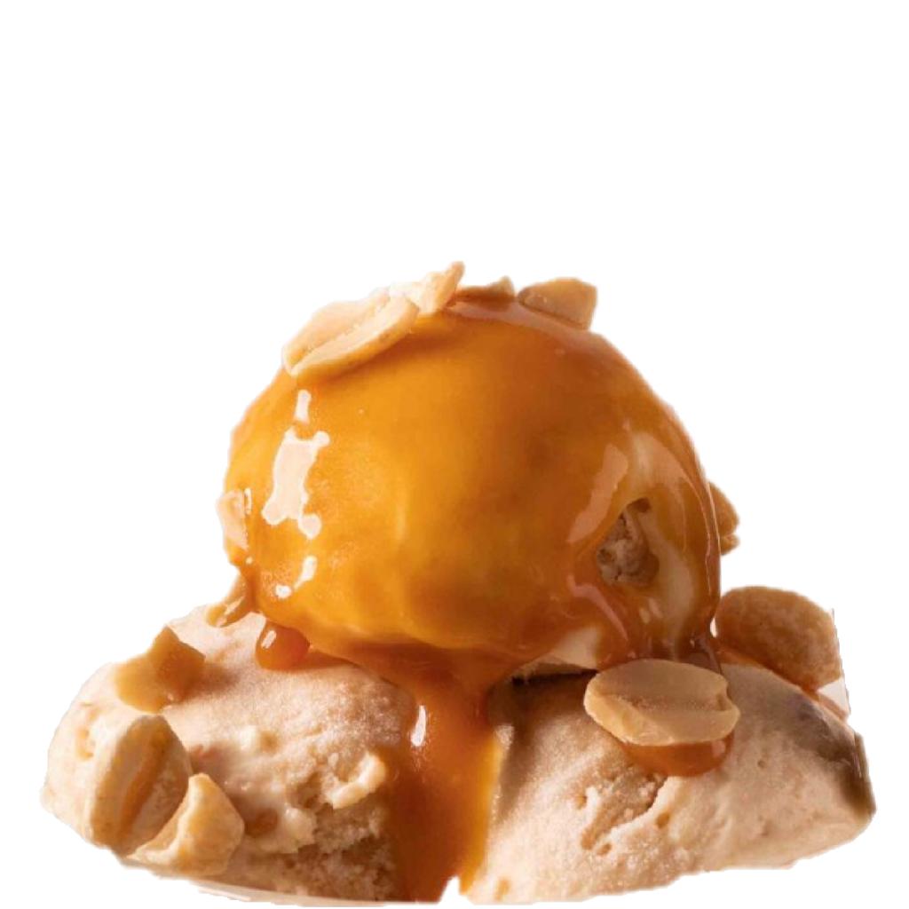 GELATO ARTIGIANALE ALLE ARACHIDI SALATI KG 3.5 CARAPINA