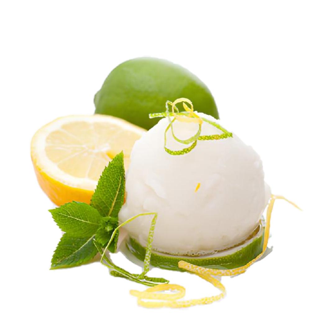 GELATO ARTIGIANALE SORBETTO A LIMONE KG 4 CARAPINA