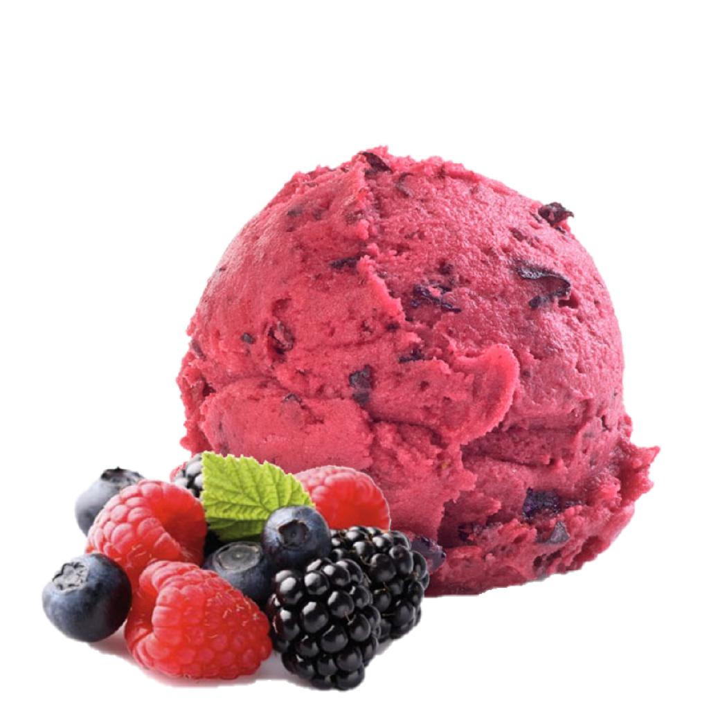 GELATO ARTIGIANALE SORBETTO AI FRUTTI DI BOSCO KG 3.5 CARAPINA