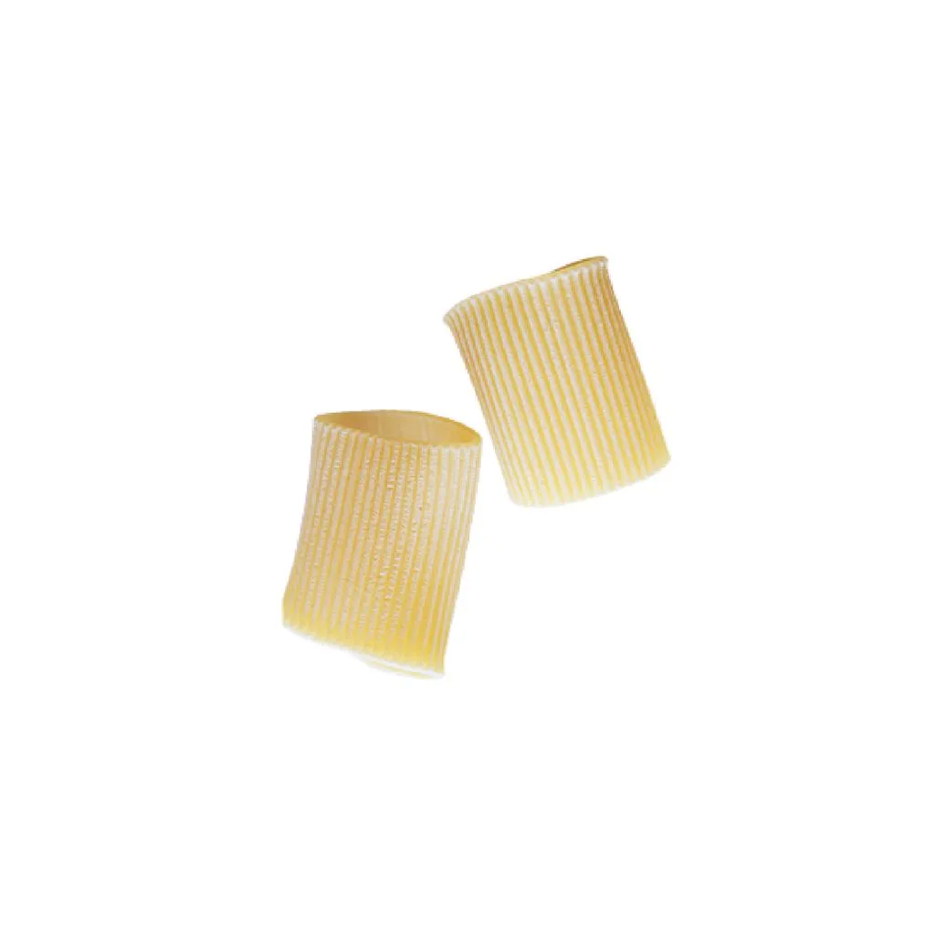 PACCHERI RIGATI GR 500 POIATTI N 100