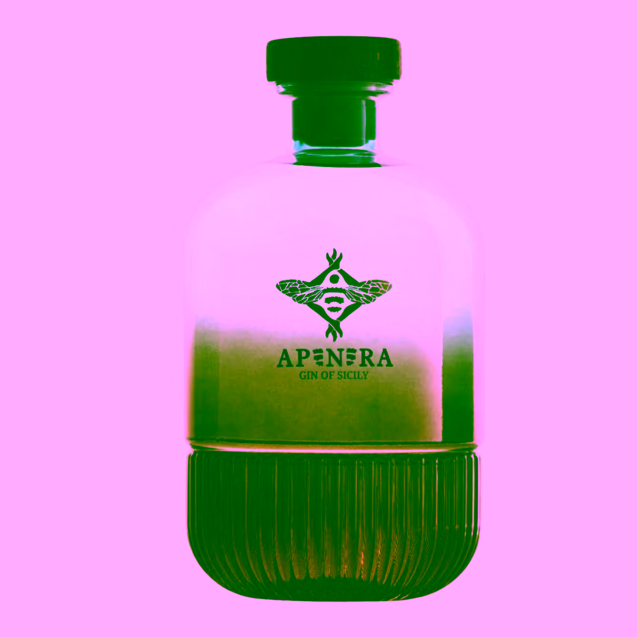 Gin Apenera: botaniche, storia, premi e come berlo