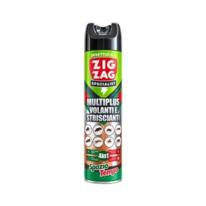 Zig Zag Spaziotempo Specialist Insetticida 600 ml