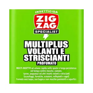 Zig Zag Spaziotempo Specialist Insetticida 600 ml