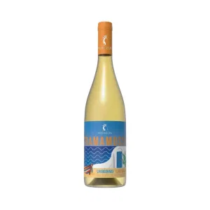 Vino Chardonnay Frizzante IGP 75 cl Tramamossa – Musanegra