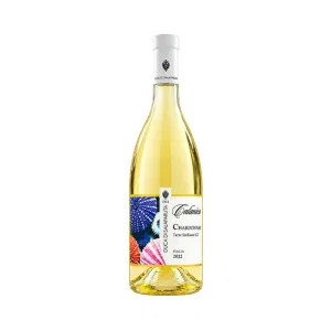 Calanìca Chardonnay Duca di Salaparuta 75 cl